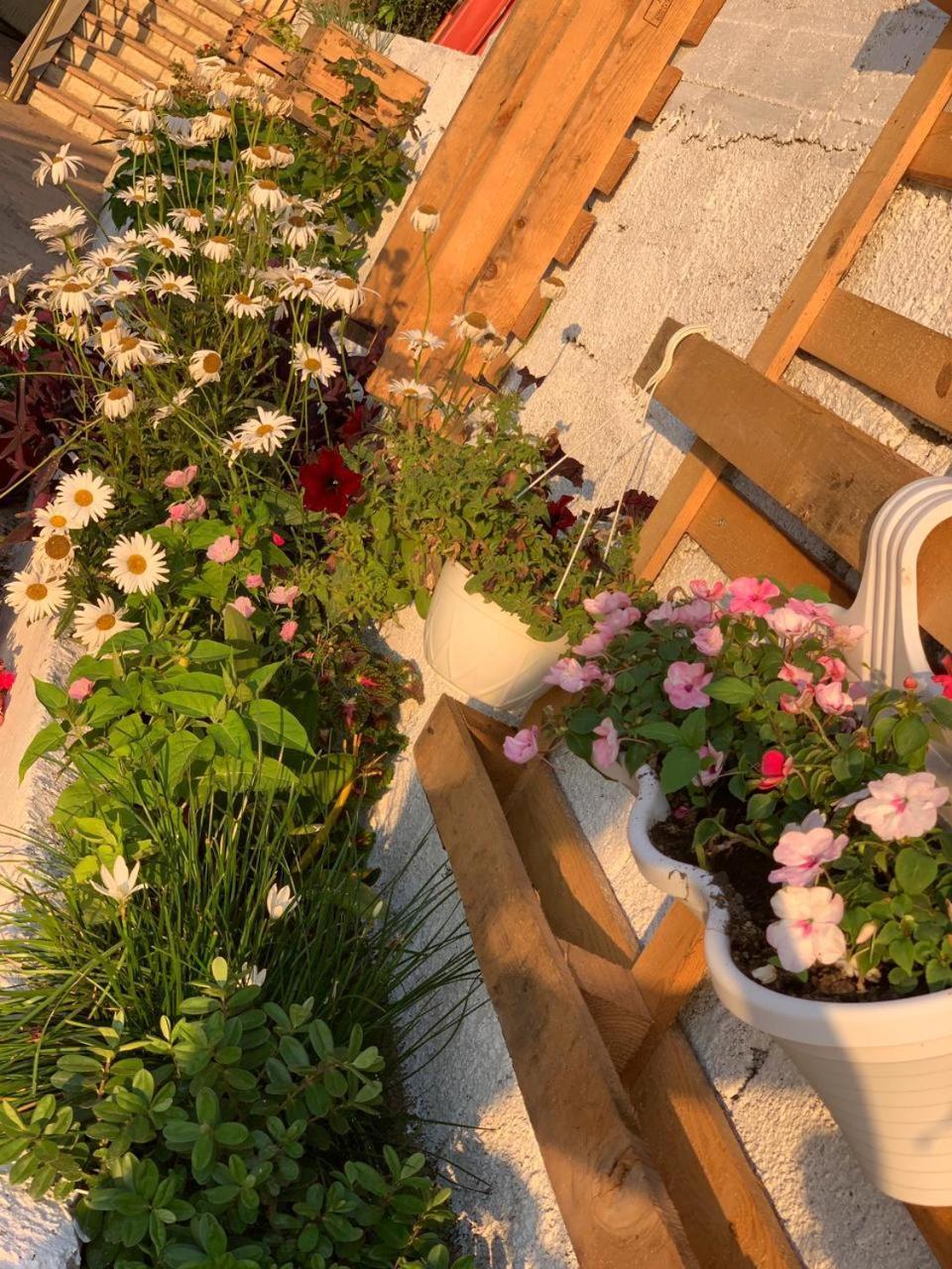 Kenza Apartments Saranda Oda fotoğraf
